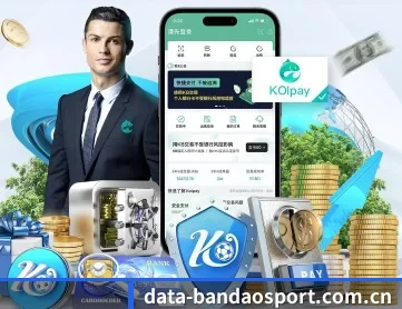 半岛体育 APP