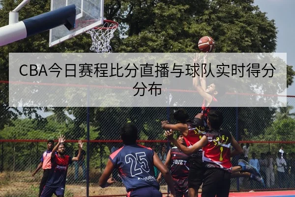 CBA今日赛程比分直播与球队实时得分分布